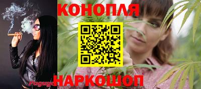 молекула духа Партизанск