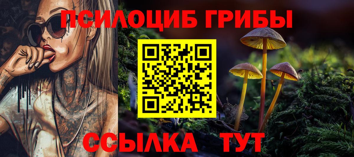 Псилоцибиновые грибы Psilocybe Пыть-Ях