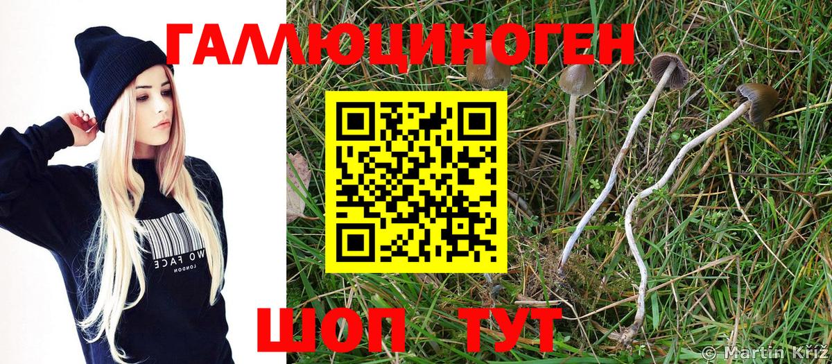 Пыть-Ях  Псилоцибиновые грибы Cubensis  Вход с VPN 